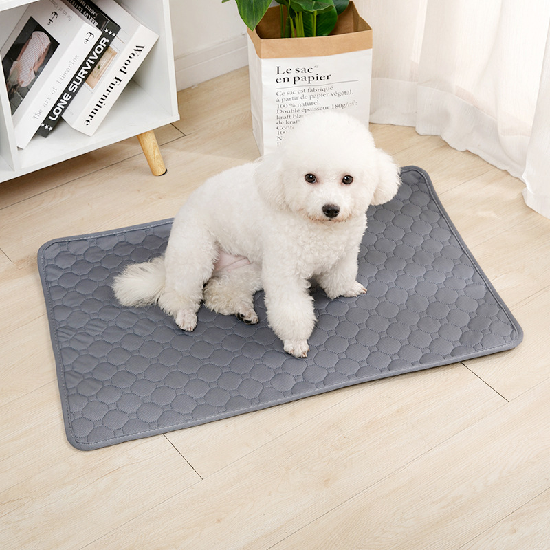 Yeniden Kullanılabilir Köpek Ç - Carriage Bed incelemesi ve fiyatı